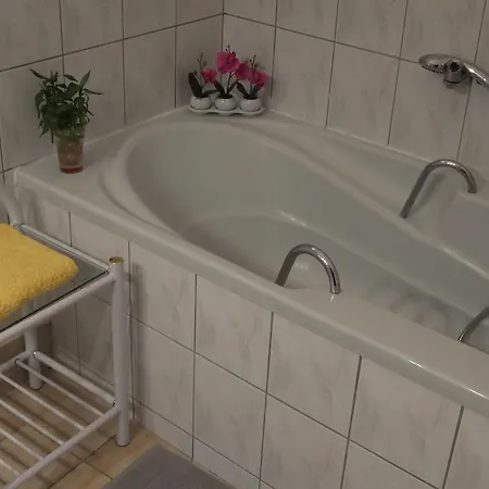 Hôtel-restaurant Du Soleil Levant Sarrebourg